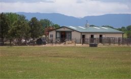  Spotted Saddle Horse  Rocky Mountain Kentucky